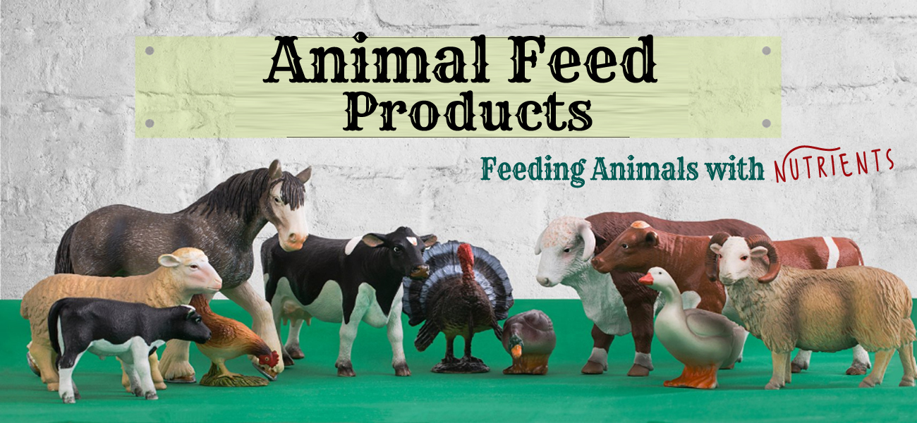 animal Feed