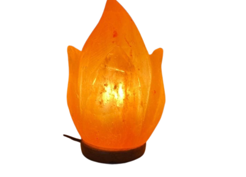 himalayan salt lamp (800 x 800 px) (6)